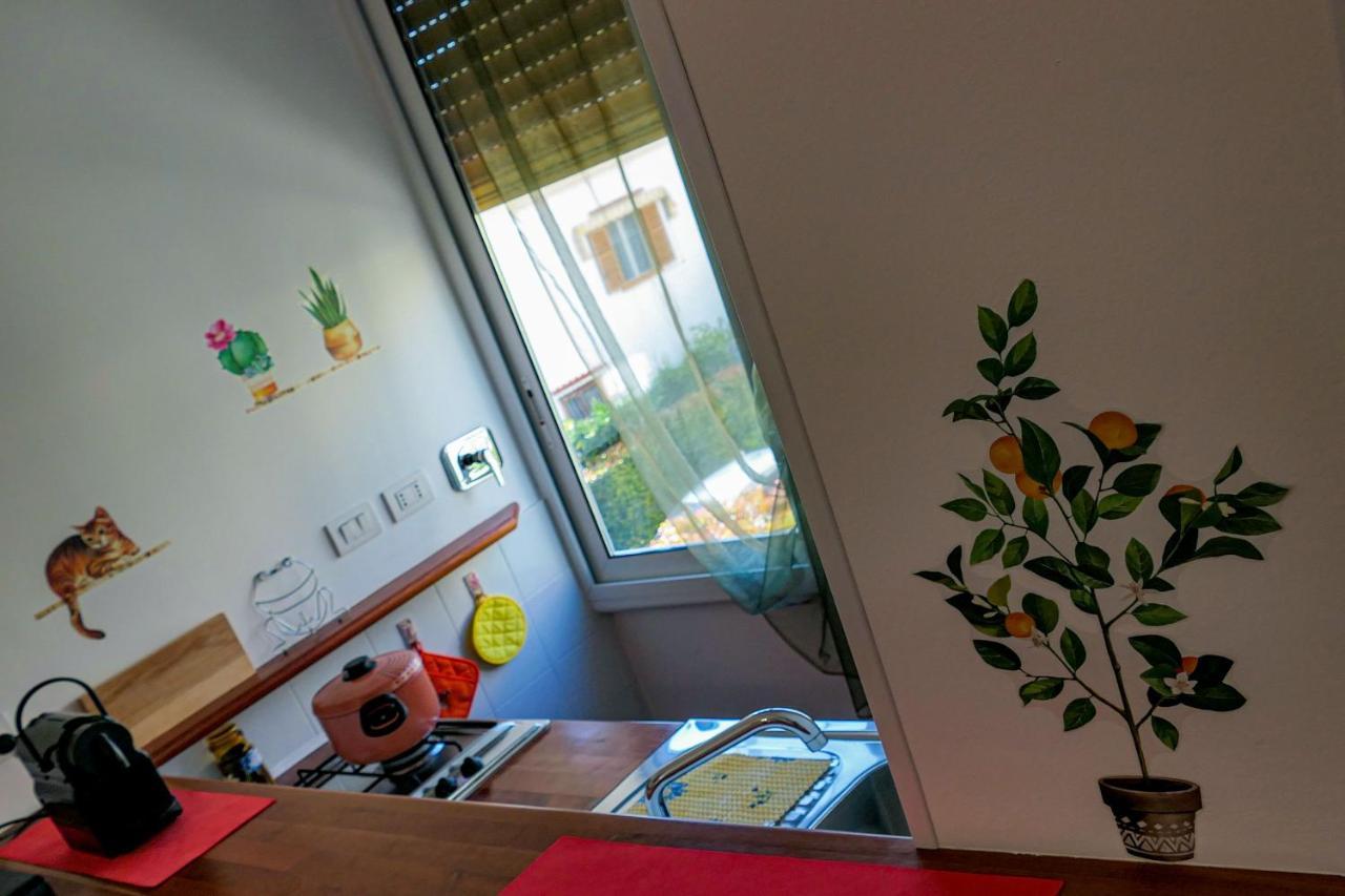 Flesia Apartment